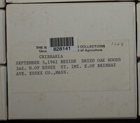 Image Associated With the Occurence